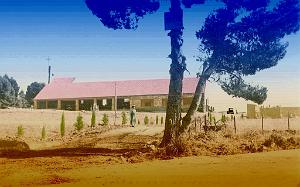 TELAGH 20  COLONIE DE VACANCES  1956